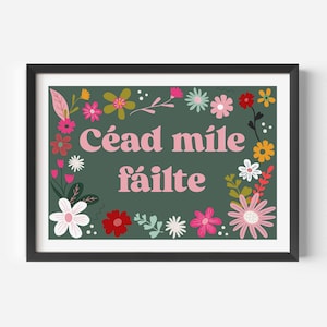 May include: A framed print featuring the Irish phrase "Céad míle fáilte" in pink, encircled by a floral border. The flowers are in shades of pink, white, red, and yellow, set against a dark green backdrop.