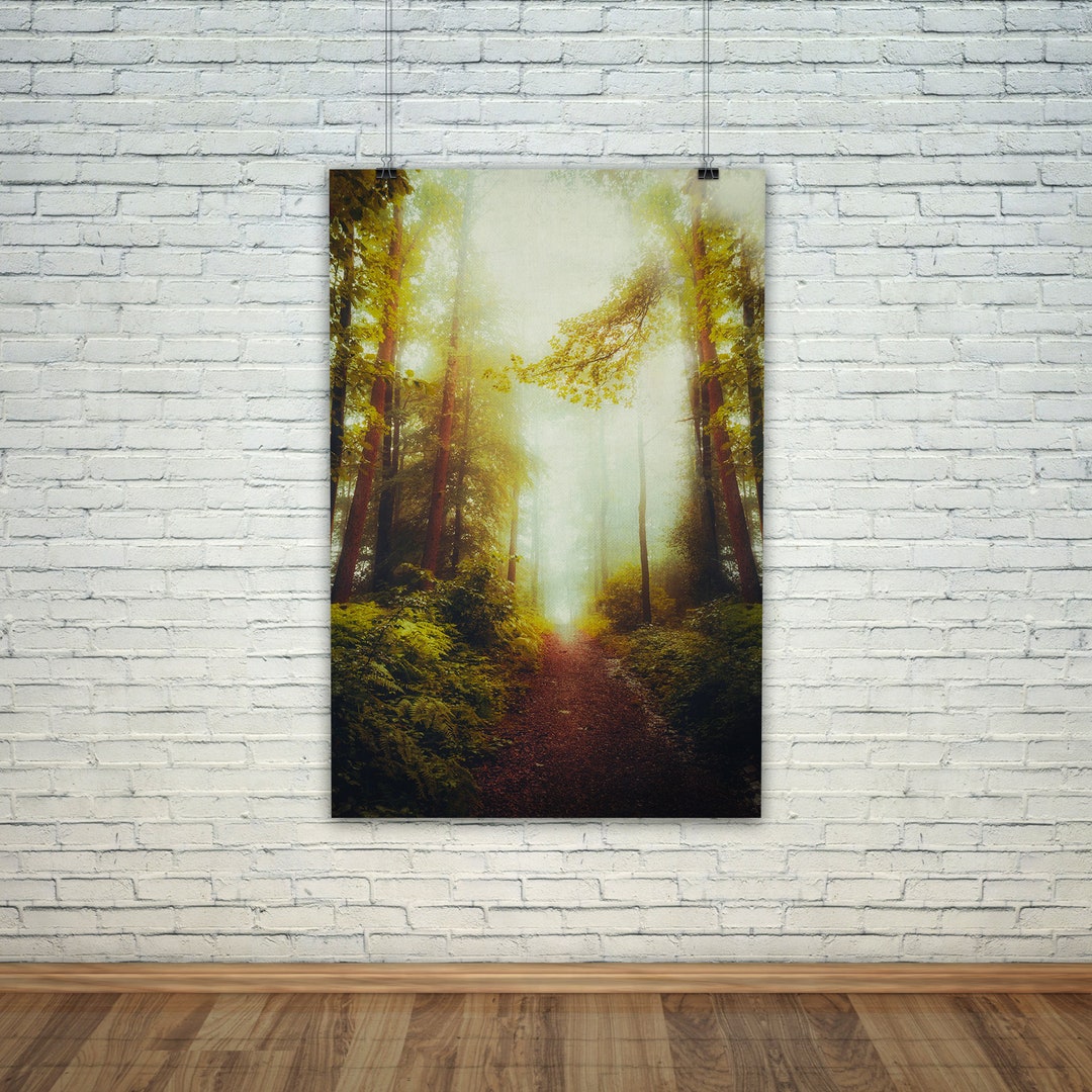 Dreamy Forest Print Evergreen Forest Art moody Nature - Etsy