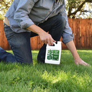 May include: A person kneeling on green grass, applying a white bottle of Simple Lawn Solutions liquid lawn fertilizer. The bottle has a green label with the text "Simple Lawn Solutions" and "Liquid Iron for Darker Greens".