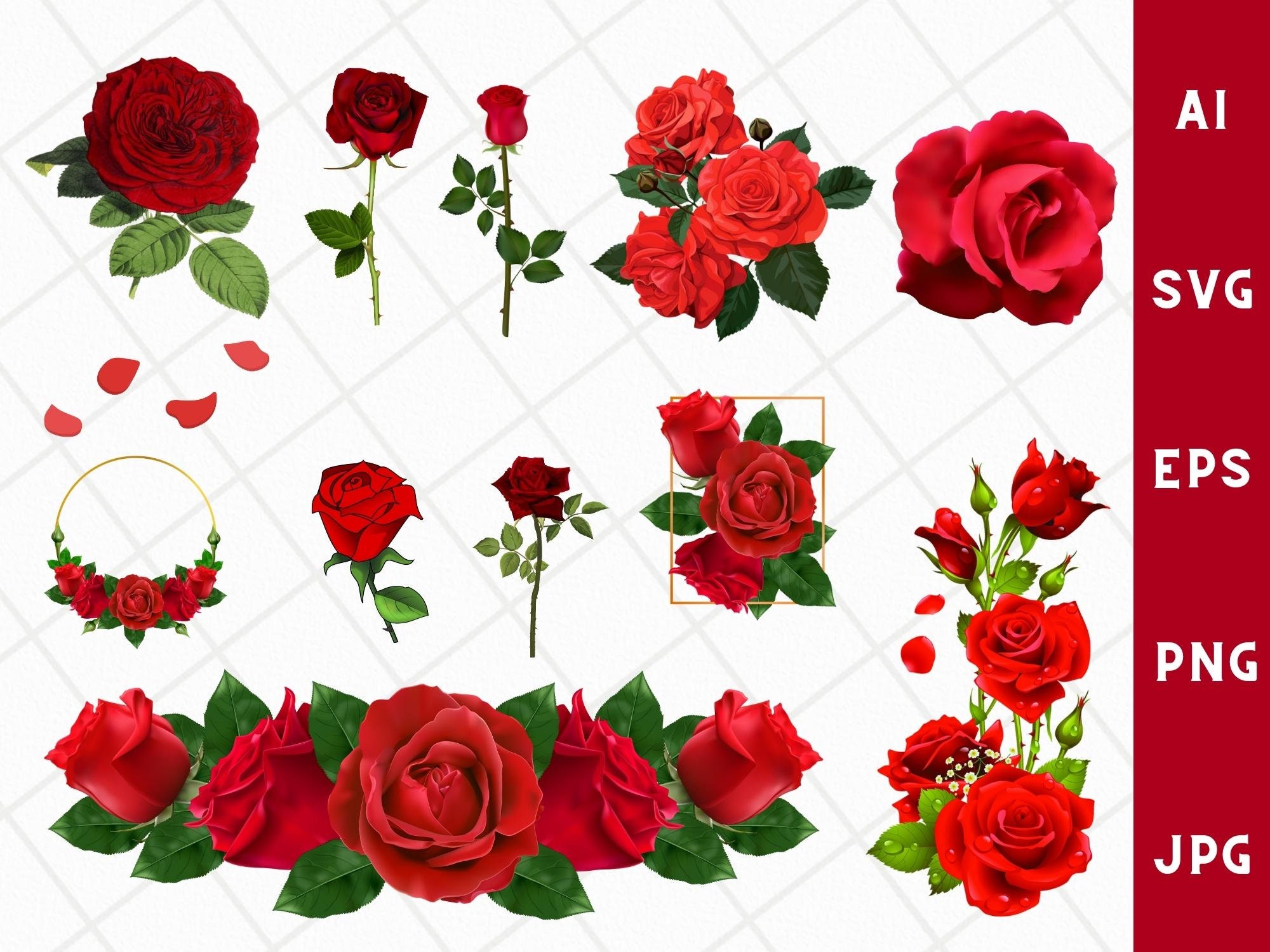 Red Rose SVG Rose SVG Bundle Red Rose Clipart roses Template Svg vector