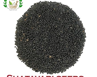 Semillas de espárragos orgánicos Shatavari