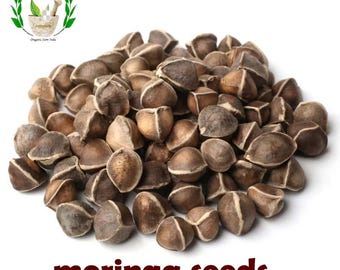 Drumstick Tree/Senjana/Moringa Oleifera moringa seeds