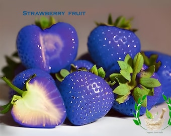 Organic Blue Strawberry Seeds: hoge opbrengst, zoete smaak (55 zaden)