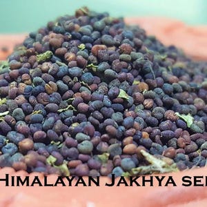 Puede incluir: Primer plano de un montón de semillas de Jakhya del Himalaya en un cuenco de color terracota. Las semillas son pequeñas, redondas y una mezcla de tonos marrón oscuro y púrpura. El texto "HIMALAYAN JAKHYA SEEDS" está impreso en la parte inferior de la imagen.