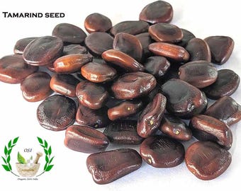 Tamarinde, Tamarindus indica, Imli, Manilla Sweet Seeds Tamarindepoeder:
