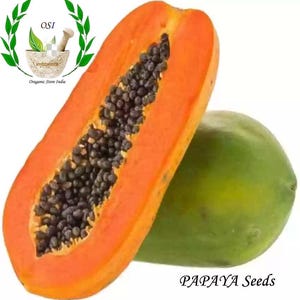Biologische gedroogde papitazaden, natuurlijke papajazaden, papajazaden