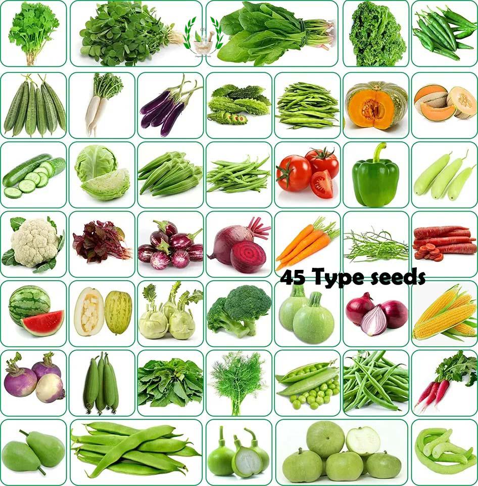 45 Variety Vegetable Seeds (3500+ Seeds)