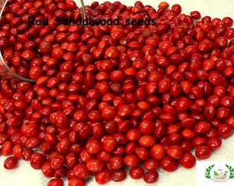 Rode sandelhoutzaden (Lal Chandan)