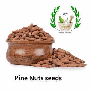Pine Nut (Chilgoza Premium Quality), Pine Nuts seeds, Dry Fruits Chilgoza, Pinus Gerardiana