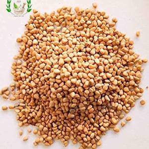 Puede incluir: Una imagen de primer plano de un montón de semillas de ashwagandha de color marrón claro. Las semillas son pequeñas y redondas, y están dispuestas en un patrón aleatorio. El texto "ASHWAGANDHA SEEDS" está impreso en letras negras en la parte inferior de la imagen.