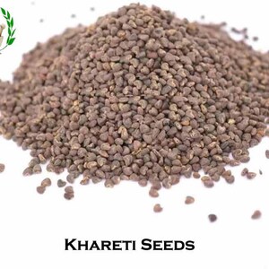 May include: A close-up of a mound of small, brown Khareti seeds. The seeds are scattered on a white surface. The text "Khareti Seeds" is written in bold, black letters at the bottom of the image.