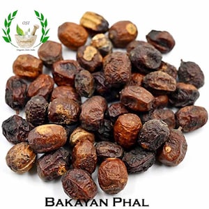 May include: A close-up of a pile of dried Bakayan Phal, also known as  Indian Black Plum,  seeds. The seeds are dark brown and have a wrinkled texture.