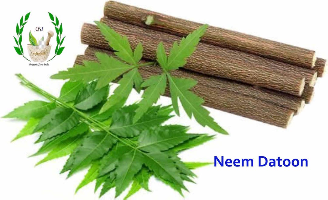Datun Paper Toothbrush Neem Datun: Raw Herb Toothbrush, 6 Inch Natural Neem Datun ...