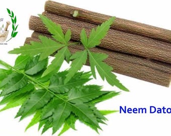 Neem Datun: Raw Herb Toothbrush, 6 inch Natural Neem Datun SticksTraditional Teeth Cleaning, Zero Pesticides