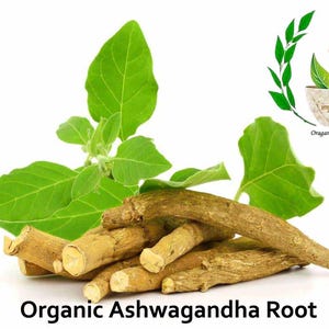 K&ouml;nnte beinhalten: Biologische Ashwagandha-Wurzel, ein nat&uuml;rliches Kraut, mit gr&uuml;nen Bl&auml;ttern und braunen Wurzeln. Das Bild enth&auml;lt auch ein Logo f&uuml;r Organic Store India.