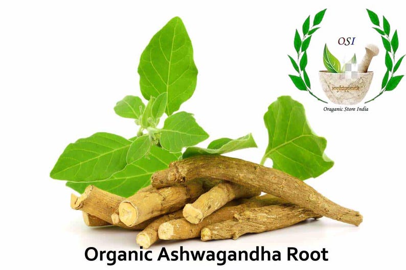 K&ouml;nnte beinhalten: Biologische Ashwagandha-Wurzel, ein nat&uuml;rliches Kraut, mit gr&uuml;nen Bl&auml;ttern und braunen Wurzeln. Das Bild enth&auml;lt auch ein Logo f&uuml;r Organic Store India.