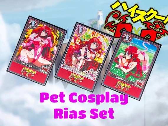 High School Dxd Cards | Pet Cosplay Series Anime Waifu Card Sets
