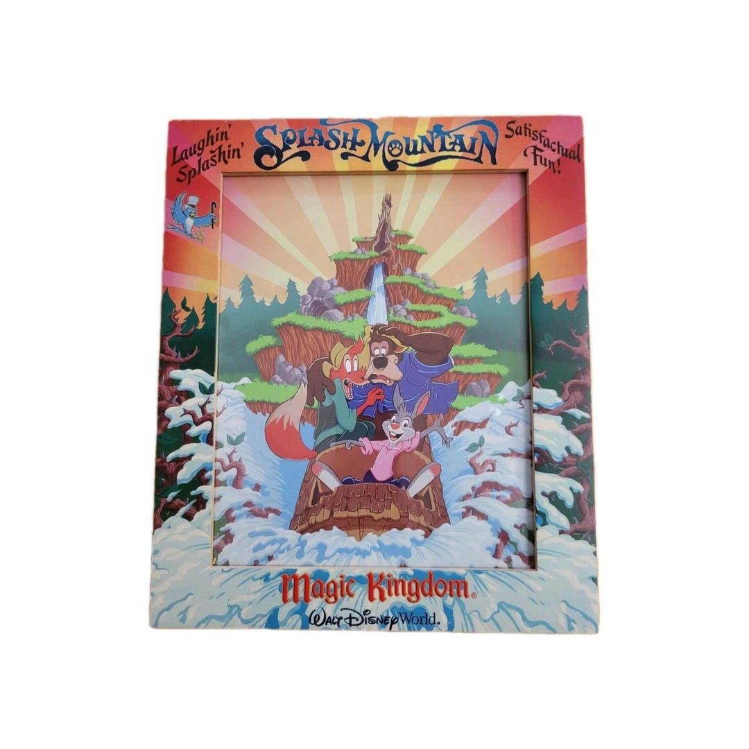 Disney Splash Mountain 8” X 10” Picture Frame - Magic Kingdom Brer ...