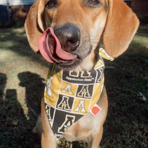 App state sale dog collar