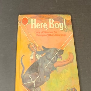1966 Book: Here, Boy! Lots of Stories for Everyone Who Likes Dogs - Whitman Publishing Company - VINTAGE BOOK