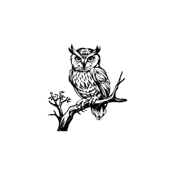 Owl on the Branch Design SVG Perfect for T-Shirts, Mugs, and Home Decor SVG/PNG Digital Download