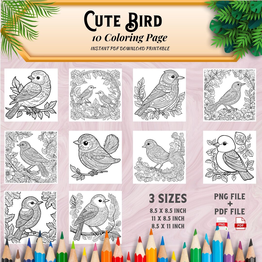 10 Cute Bird Coloring Pages Adults and Kids Coloring Book, Digital ...