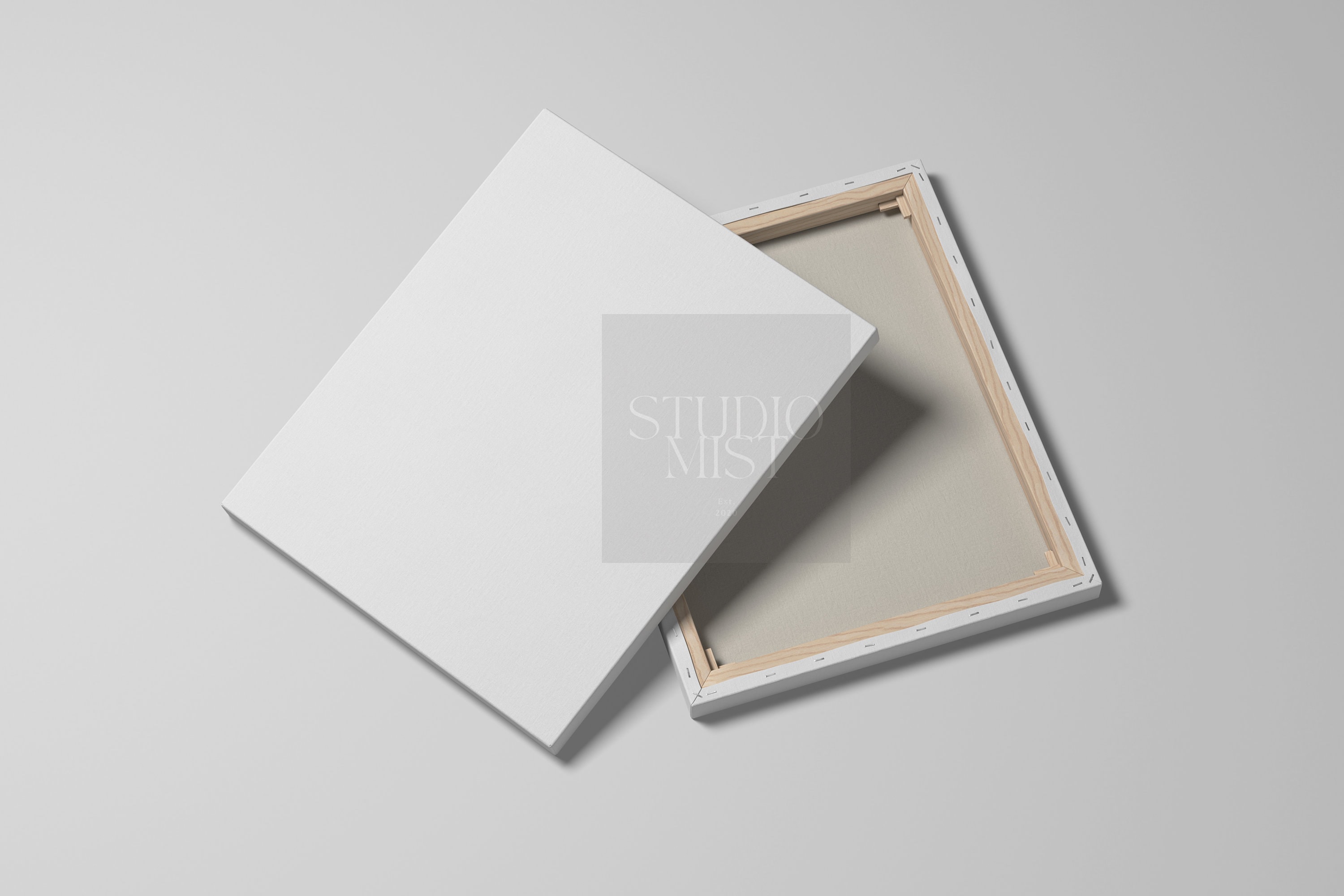 4x5 16x20 White Canvas Mockup Bundle 8in1 Free 24texture Pack Modern