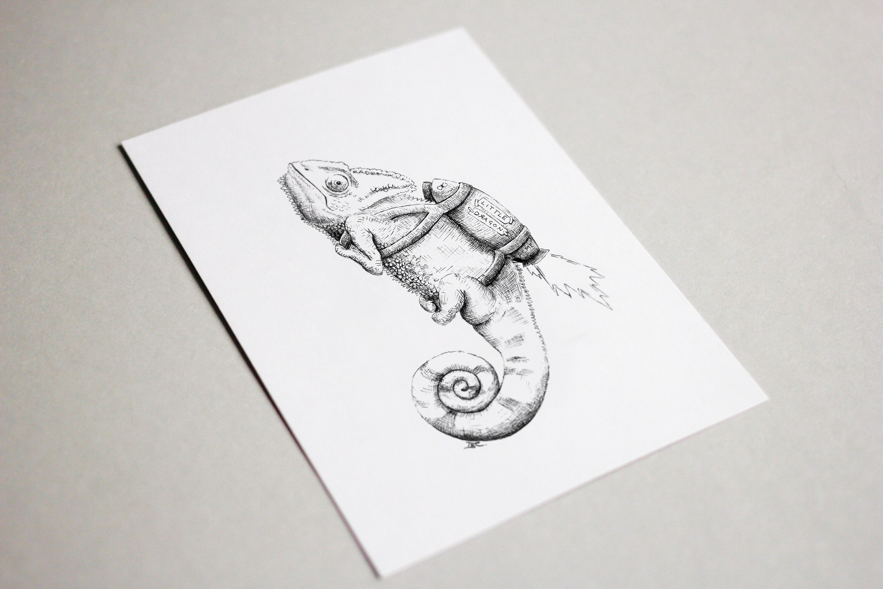 Kunpei_yamanashi　デジタルプリント  Chameleon 高品質の人気 Kunpei_yamanashi Chameleon デジタルプリント