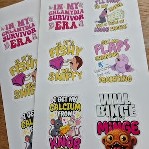 May include: A sheet of die-cut stickers featuring various humorous illustrations and text, including phrases like IN MY CHLAMYDIA SURVIVOR ERA, I'LL DROP TO MY KNEES FOR A TASTE OF KNOB CHEESE, IF IT'S FISHY I WILL SNIFFY, GET MY FLAPS CHIRPING, and WILL BINGE IF THE MINGE IS GINGE.