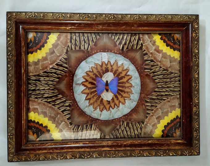 Featured listing image: Butterfly Wings Framed Wall Art