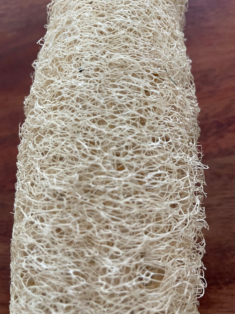 Lot of 8 Luffa loofah Slices for Soapmaking, Eco Friendly, Natural