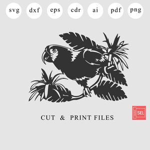 Papagei Dxf-Dateien, Vogel Laser geschnitten, Passerine SVG-Datei für Cricut, tropischer Vogel-Metall-Wand-Kunst, wiederholen CNC-Projekt, Psittacines CNC-Router