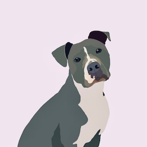 Pitbull