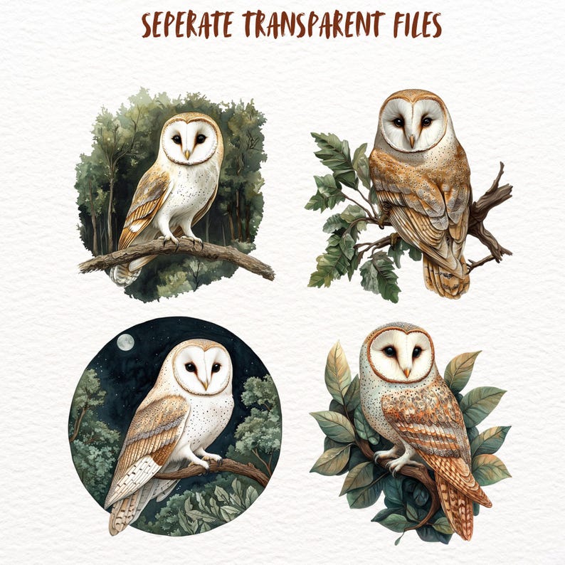 Peut inclure: Quatre illustrations &agrave; l'aquarelle de hiboux des granges perch&eacute;s sur des branches. Les hiboux sont repr&eacute;sent&eacute;s dans diverses poses et environnements, notamment une for&ecirc;t, une sc&egrave;ne nocturne avec une lune et une branche feuillue. Les illustrations sont d&eacute;taill&eacute;es et r&eacute;alistes, capturant la beaut&eacute; de ces oiseaux nocturnes.