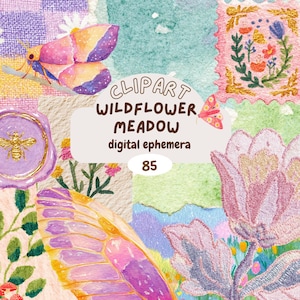 Ensemble de prairie de fleurs sauvages, lot d'éphémères botaniques vintage, autocollants numériques pour journal indésirable, cliparts aquarelle pour scrapbooking collage art png thumbnail