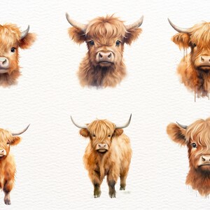 May include: Six watercolour paintings of Highland cattle with different poses and expressions. The cattle are brown and white with long, shaggy hair. The paintings are on a white background.