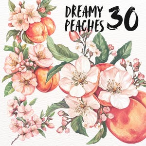Op de afbeelding: Waterverfillustratie van perzikbloesems en perziken. De illustratie is in een zachte roze en groene kleurpalet. De tekst "DREAMY PEACHES 30" staat in het zwart bovenaan de afbeelding.