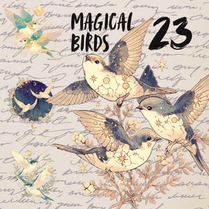 Magische Vögel als Png-Bundle, grafische Illustrationen, transparente Cliparts, Print on Demand, Journaling, digitale Aufkleber Goodnotes Set