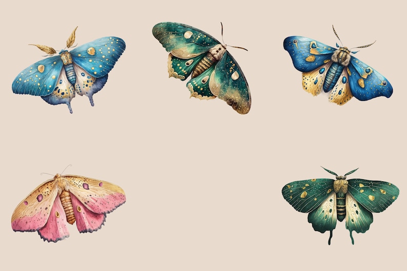 May include: Five colorful butterflies with intricate patterns and gold accents. The butterflies are painted in shades of blue, green, pink, and yellow.