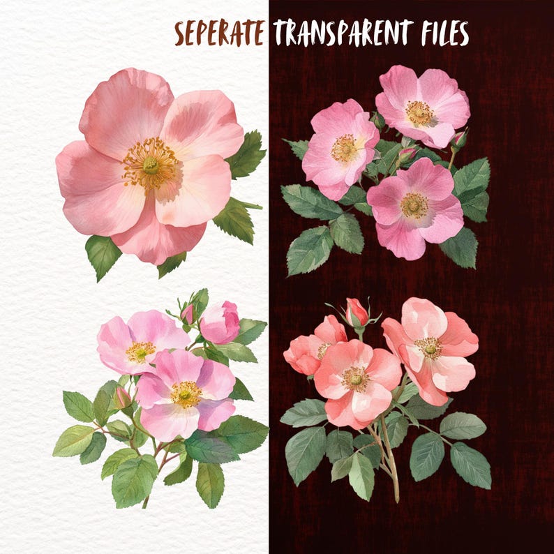 Watercolour Wild Roses Watercolour Wild Roses Clipart Bundle, Spring Rose Floral Goodnotes ...