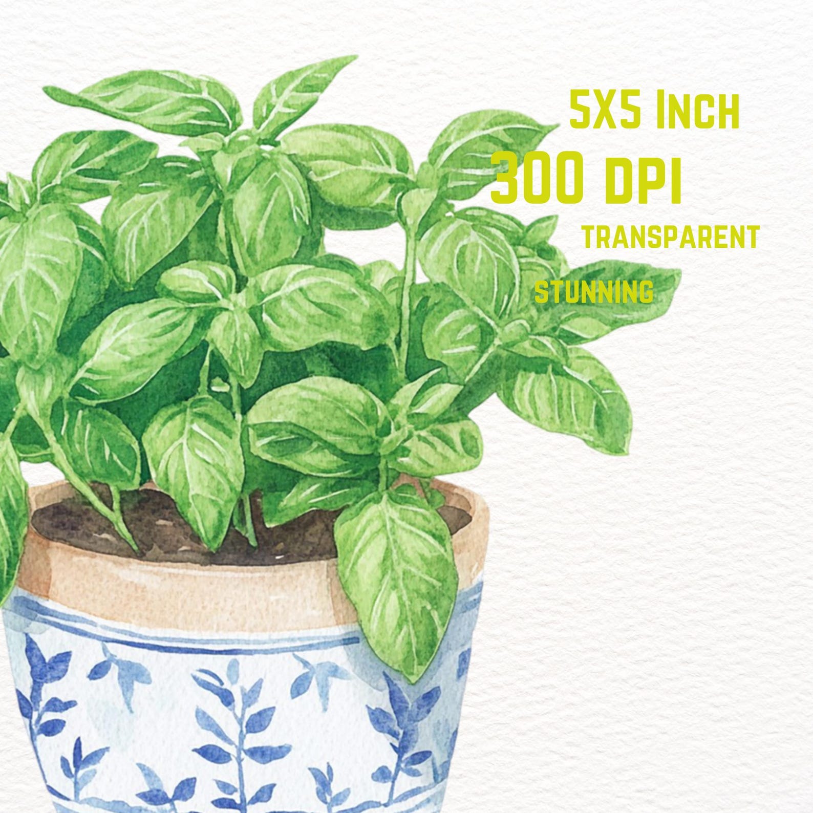 Basil Pot Clipart Set, Bookish PNG Stickers, Herb Grower Reader Set ...