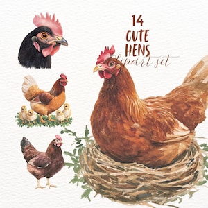 Watercolour style Cute chicken clipart bundle, easter goodnotes stickers, farm hen png,  bird nest digital journaling set, transparent image