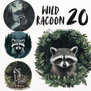Mignon raton laveur sauvage Clipart ensemble, animaux PNG autocollants, bois png ensemble en téléchargement numérique, artisanat en papier animaux de la forêt goodnote raton laveur