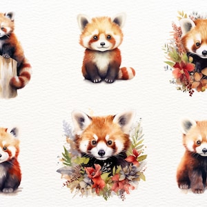 May include: Six watercolor illustrations of red pandas. The red pandas are depicted in various poses, including sitting, standing, and looking at the viewer. Some of the red pandas are surrounded by flowers and foliage.