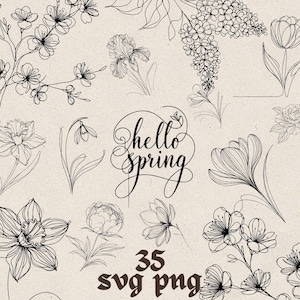 SVG Lineart lente bloemenbundel, lente bloemen SVG, schaalbare bloemen, narcissen, seringen SVG, pioenrozen, boshyacinten, tulpen, transparant