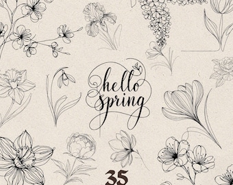 svg lineart paquete de flores de primavera, svg floral de primavera, flores escalables, narcisos, lilas svg, peonías, campanillas, tulipanes, transparente