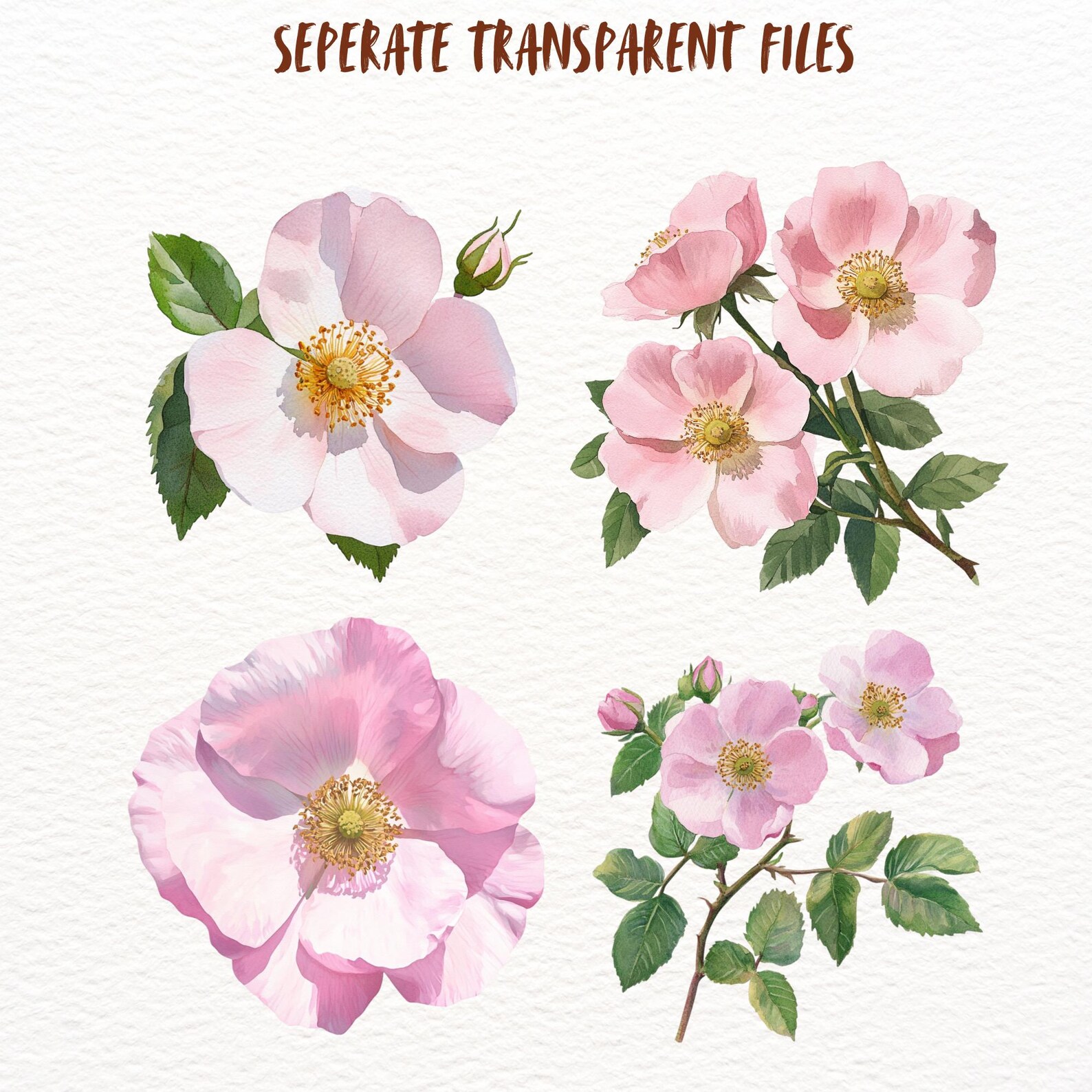 Watercolour Wild Roses Watercolour Wild Roses Clipart Bundle, Spring Rose Floral Goodnotes ...
