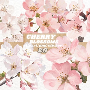 Aquarell Kirschblüten Clipart Bundle, Frühling Blumen Goodnotes Aufkleber, süßes Png, Girly Digital Journaling Set, transparentes Bild