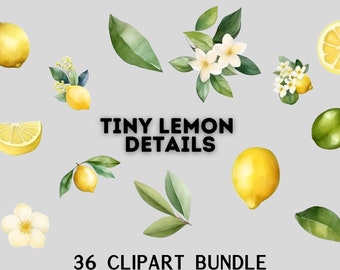 watercolour tiny lemon clipart bundle, lemon flowers, lemon leaves, citruc clipart, watercolour lemon