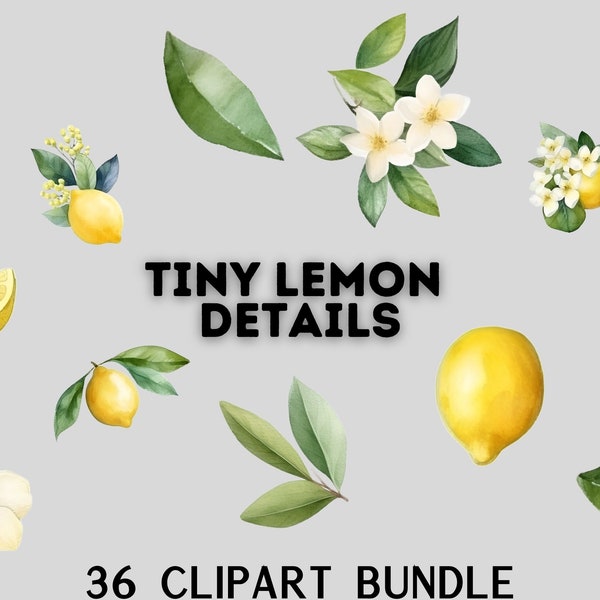 watercolour tiny lemon clipart bundle, lemon flowers, lemon leaves, citruc clipart, watercolour lemon